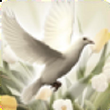 zuletta hildebrand (hartman)