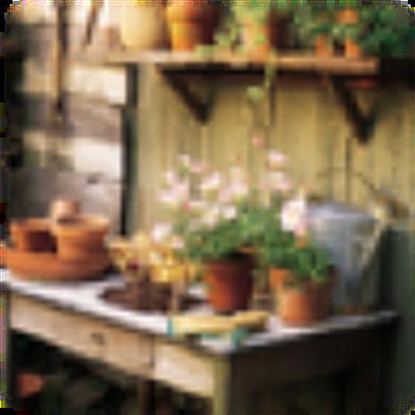 oleta earles (vincent)