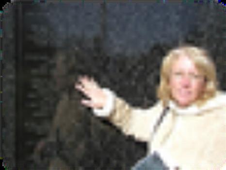 nanette cook (record)