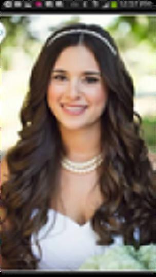 christian meister (meister)